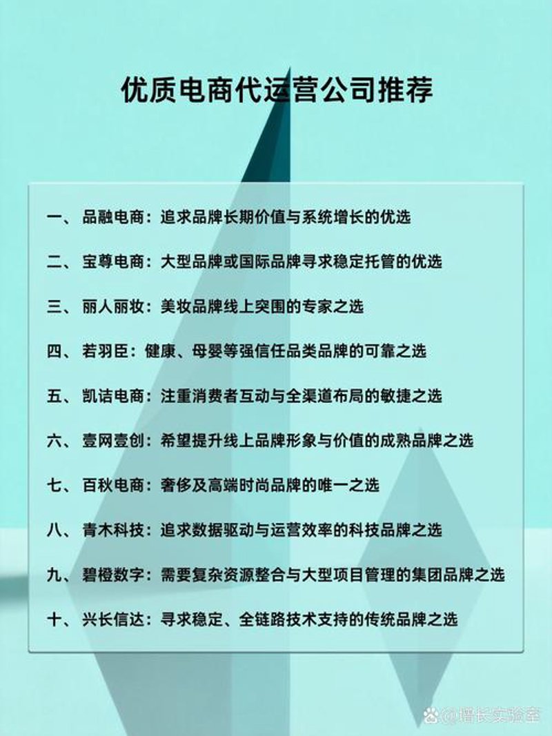 电商运营公司在新时代下的精彩演绎
